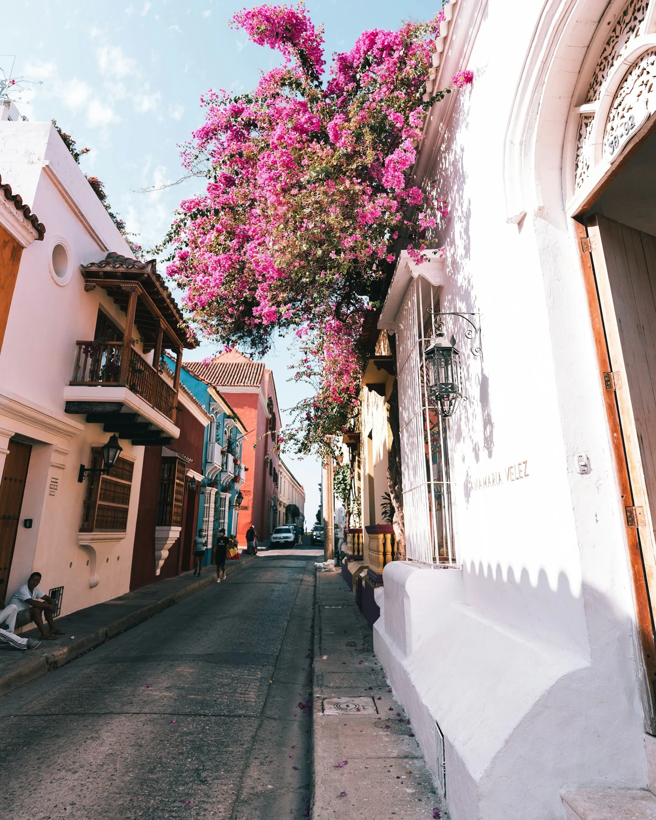 Calle de Cartagena con fachadas coloniales y flores