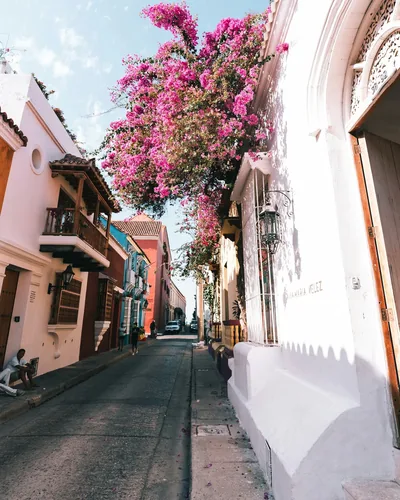 Calle de Cartagena con fachadas coloniales y flores