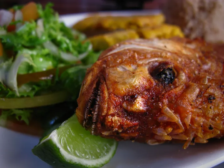 Fotografía gastronómica de referencia, no del restaurante
